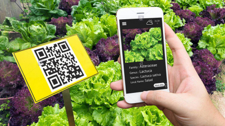Truy xuất nguồn gốc bằng QRCode - Đảm bảo tính chính xác và xác thực sản phẩm