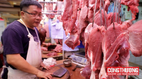 Giá heo hơi hôm nay 6/9: Lấy lại mức 59.000 đồng, đà tăng giá mới được xác lập?