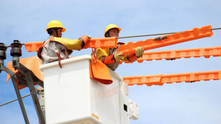 Cung ứng 186,7 tỷ kWh điện trong 8 tháng