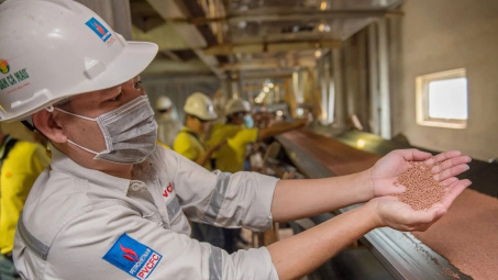 Dự báo giá phân ure có thể tăng thêm 30%, cổ phiếu DCM - Đạm Cà Mau “trần cứng”