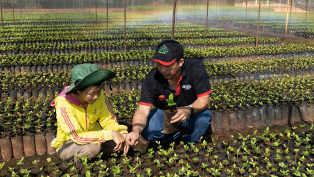 Nestlé được vinh danh thương hiệu thực phẩm giá trị nhất thế giới