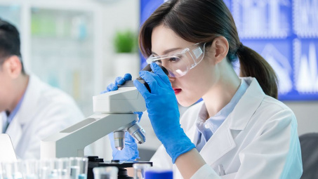 Thành lập Khu công nghệ cao sinh học Hà Nội gần 200 ha