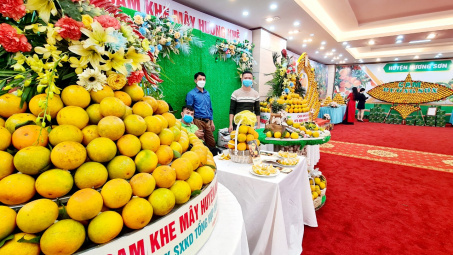 Sắp diễn ra Lễ hội Cam và các sản phẩm Hà Tĩnh năm 2024