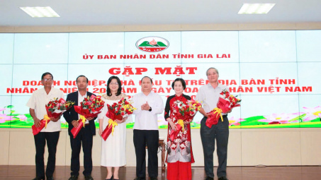 Tỉnh Gia Lai gặp mặt doanh nghiệp, nhà đầu tư nhân ngày Doanh nhân Việt Nam