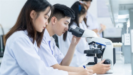 Nâng cao hiệu quả quản lý công tác nghiên cứu khoa học tại Viện Y Dược học dân tộc giai đoạn 2024-2025