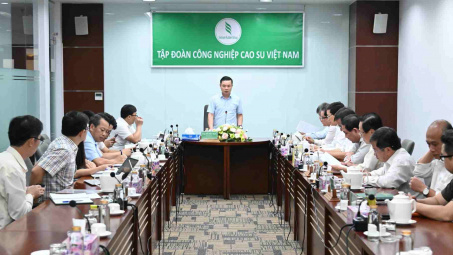 Cao su Việt Nam (GVR) kiến nghị xem xét chủ trương đầu tư các khu công nghiệp vùng Đông Nam Bộ
