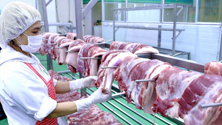 Tập đoàn Dabaco (DBC) báo lãi quý 3 tăng gấp 25 lần, sẽ sớm công bố đối tác chiến lược nước ngoài