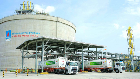 CNG Việt Nam (CNG) chuẩn bị chốt quyền nhận cổ tức tiền mặt tỷ lệ 12%