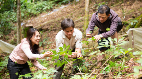 Quảng Nam: Lên kế hoạch tổ chức Lễ hội Sâm Ngọc Linh quốc tế năm 2025