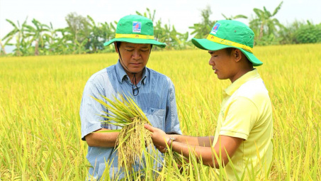 Đạm Cà Mau (DCM), Đạm Phú Mỹ (DPM) đặt kỳ vọng vào vụ Đông Xuân và Luật Thuế VAT