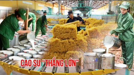 Giá cao su "lên đỉnh" 13 năm, Cao su Phước Hoà (PHR), Cao su Đồng Phú (DPR) “thắng lớn”