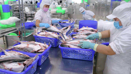 Thuỷ sản Vĩnh Hoàn (VHC): Doanh thu 9 tháng đầu năm ước tăng 23%, giá bán cá tra phục hồi