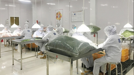 Lâm Đồng: Đẩy mạnh hoạt động khuyến công hỗ trợ phát triển công nghiệp