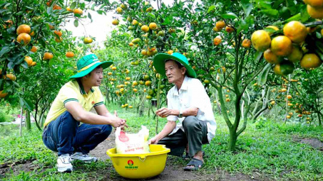 Đạm Cà Mau (DCM): Tiêu thụ ure và NPK trong tháng 9 tăng vọt