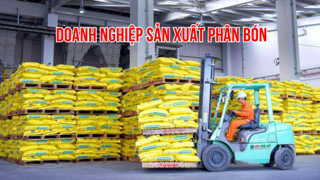Đạm Cà Mau (DCM), Đạm Phú Mỹ (DPM) đặt kỳ vọng vào vụ Đông Xuân và Luật Thuế VAT