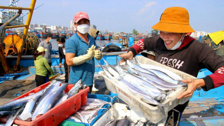 Thủ tướng: Khẩn trương triển khai hỗ trợ nguồn vốn khôi phục sản xuất kinh doanh