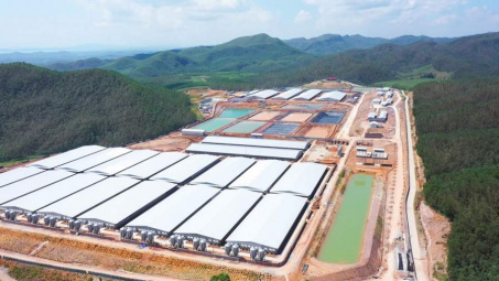 BaF Việt Nam (BAF): Hé lộ vũ khí chiến lược giúp đạt mục tiêu 10 triệu heo thương phẩm