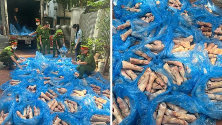 Hà Nội: Tiêu hủy hơn 1,6 tấn chân giò lợn không rõ nguồn gốc