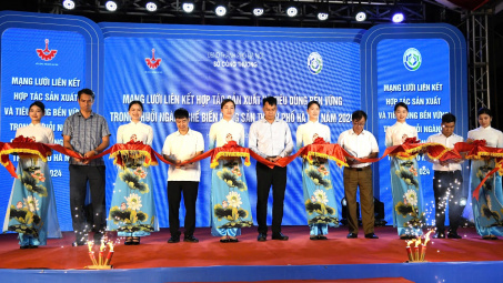 Kết nối mạng lưới liên kết hợp tác sản xuất và tiêu dùng bền vững trong chuỗi ngành chế biến nông sản năm 2024