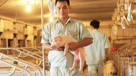 Lợi nhuận mảng nông nghiệp của Hòa Phát quý 3/2024 tăng 80% so với cùng kỳ