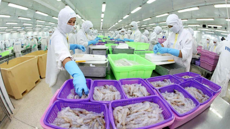 Thực phẩm Sao Ta (FMC): Doanh thu lập kỷ lục, đã trích trước chi phí thuế chống bán phá giá