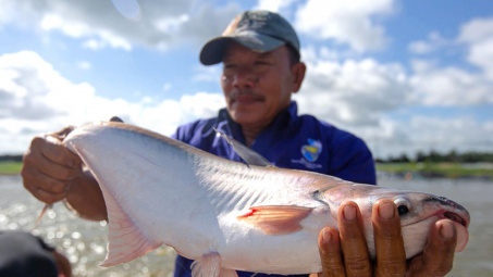 Hết quý III/2024, xuất khẩu cá tra Việt Nam đạt 1,5 tỷ USD