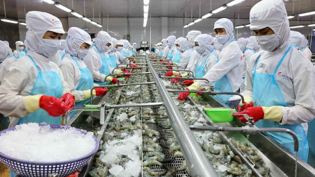 Doanh thu tài chính tăng đột biến, Thủy sản Minh Phú (MPC) báo lãi cao nhất 7 quý