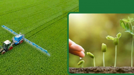Áp thuế cho ngành phân bón: Kinh nghiệm quốc tế và gợi mở cho Việt Nam