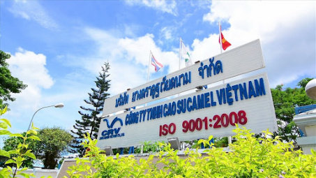 Nghiên cứu mối quan hệ giữa nhận thức trách nhiệm xã hội, niềm tin và sự gắn kết của nhân viên tại Công ty Cao su Camel Việt Nam