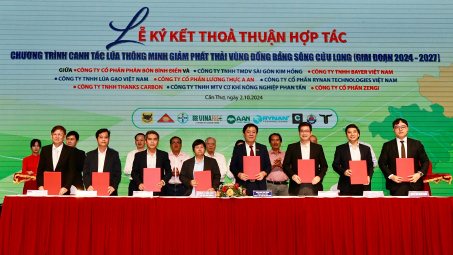 Công ty CP Phân bón Bình Điền: Nâng cao hiệu quả sử dụng phân bón trong canh tác lúa