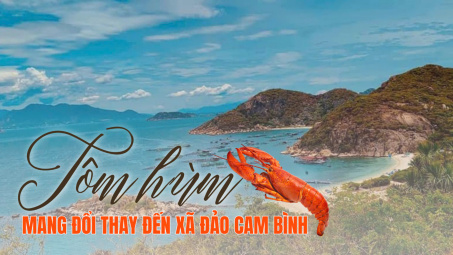 Tôm hùm mang đổi thay đến xã đảo Cam Bình