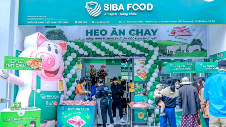 Quy mô đàn tăng trưởng nhanh, "heo ăn chay" BaF Việt Nam (BAF) báo lãi tăng gấp 4,6 lần