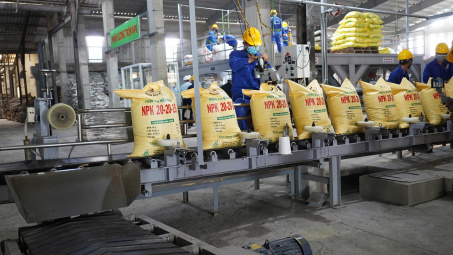 Vì sao việc áp thuế giá trị gia tăng 5% đối với phân bón nhận được sự đồng thuận lớn?