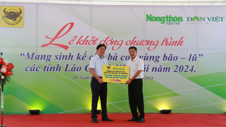 Bình Điền: Mang sinh kế cho bà con vùng bão lũ tỉnh Yên Bái và Lào Cai