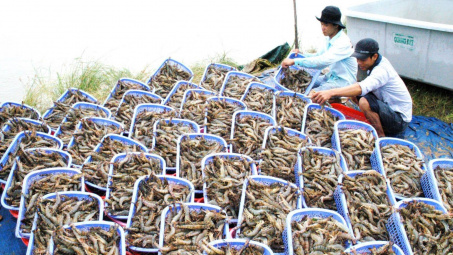 Xuất khẩu thủy sản trong quý III/2024 tăng gần 13%, đạt 2,76 tỷ USD