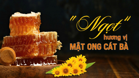 "Ngọt" hương vị Mật ong Cát Bà