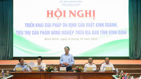 Bình Định: Tìm giải pháp ổn định sản xuất kinh doanh, tiêu thụ sản phẩm nông nghiệp