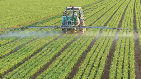 Thị trường nội địa lẫn thế giới dư cung, doanh nghiệp phân bón gặp khó