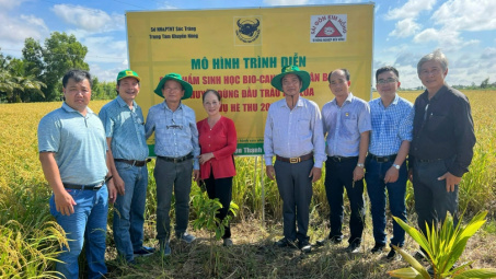 Phân bón Bình Điền và hiệu quả của mô hình canh tác lúa thông minh, thích ứng với biến đổi khí hậu