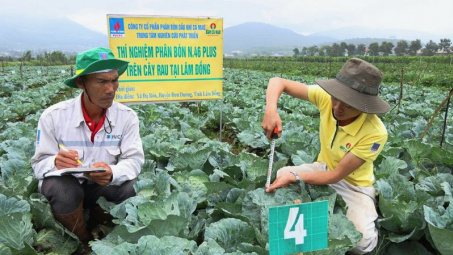 Đạm Cà Mau (DCM) hái “quả ngọt” từ thương vụ M&A Phân bón Hàn - Việt