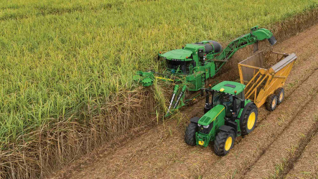 “Ngọt vị đường” - Mía đường Lam Sơn (LSS) báo lãi tăng 23%