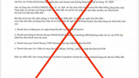 Cảnh báo hiện tượng giả mạo văn bản, thương hiệu của EVN