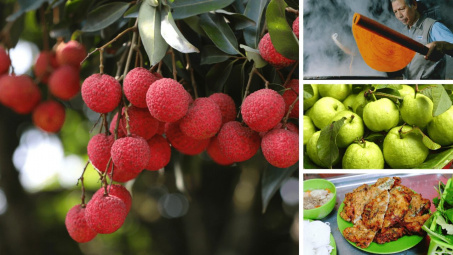 Những điểm sáng trong công tác quản lý an toàn thực phẩm tỉnh Hải Dương