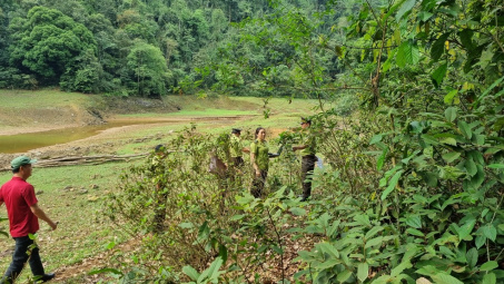 Thái Nguyên gia tăng diện tích trồng rừng và nâng cao giá trị kinh tế