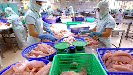 Thủy sản Vĩnh Hoàn (VHC): Xuất khẩu cá tra sang Mỹ tăng gấp 2,6 lần