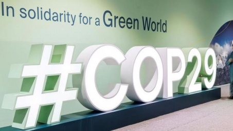 COP29: Việt Nam ủng hộ quan điểm cần đảm bảo mục tiêu tài chính khí hậu