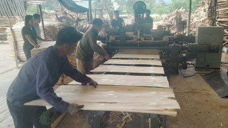 Khuyến công Yên Bái: Hỗ trợ máy móc thiết bị trong sản xuất ván bóc