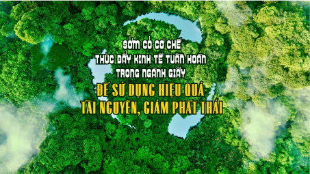 Sớm có cơ chế thúc đẩy kinh tế tuần hoàn trong ngành Giấy để sử dụng hiệu quả tài nguyên, giảm phát thải