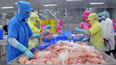 Doanh nghiệp xuất khẩu cá tra nào hưởng lợi lớn nhất nếu Mỹ tăng thuế với Trung Quốc?