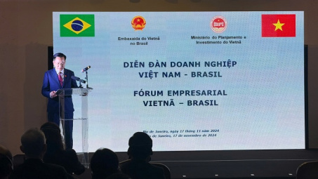 Diễn đàn Doanh nghiệp Việt Nam - Brazil: Kỳ vọng gia tăng hợp tác song phương trong lĩnh vực hoá chất